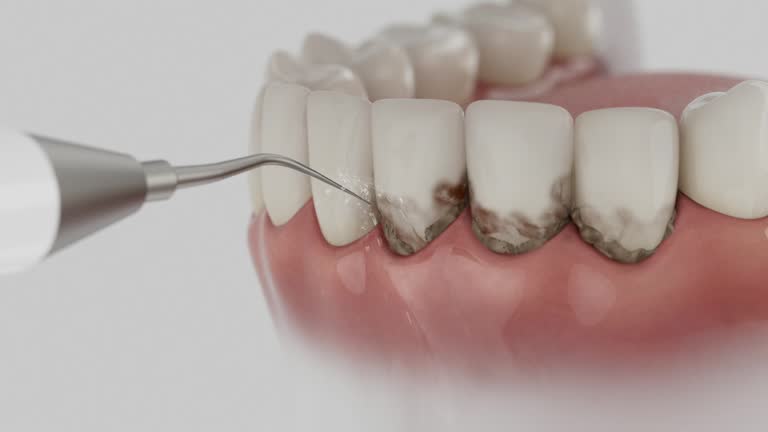 Reliable Dental contractor in Robersonville, NC by Dentist Open Now